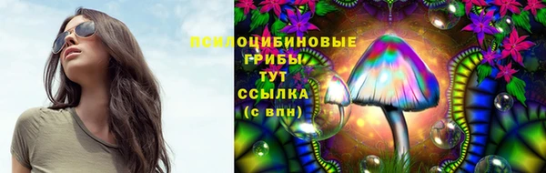 ECSTASY Абаза