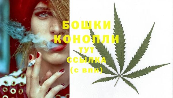 ECSTASY Абаза
