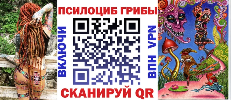 блэк спрут Власиха Галлюциногенные грибы Magic Shrooms